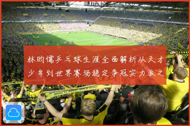 林昀儒乒乓球生涯全面解析从天才少年到世界赛场稳定争冠实力派之路