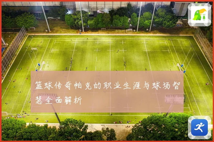 篮球传奇帕克的职业生涯与球场智慧全面解析
