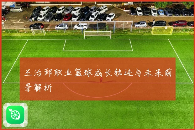 王治郅职业篮球成长轨迹与未来前景解析