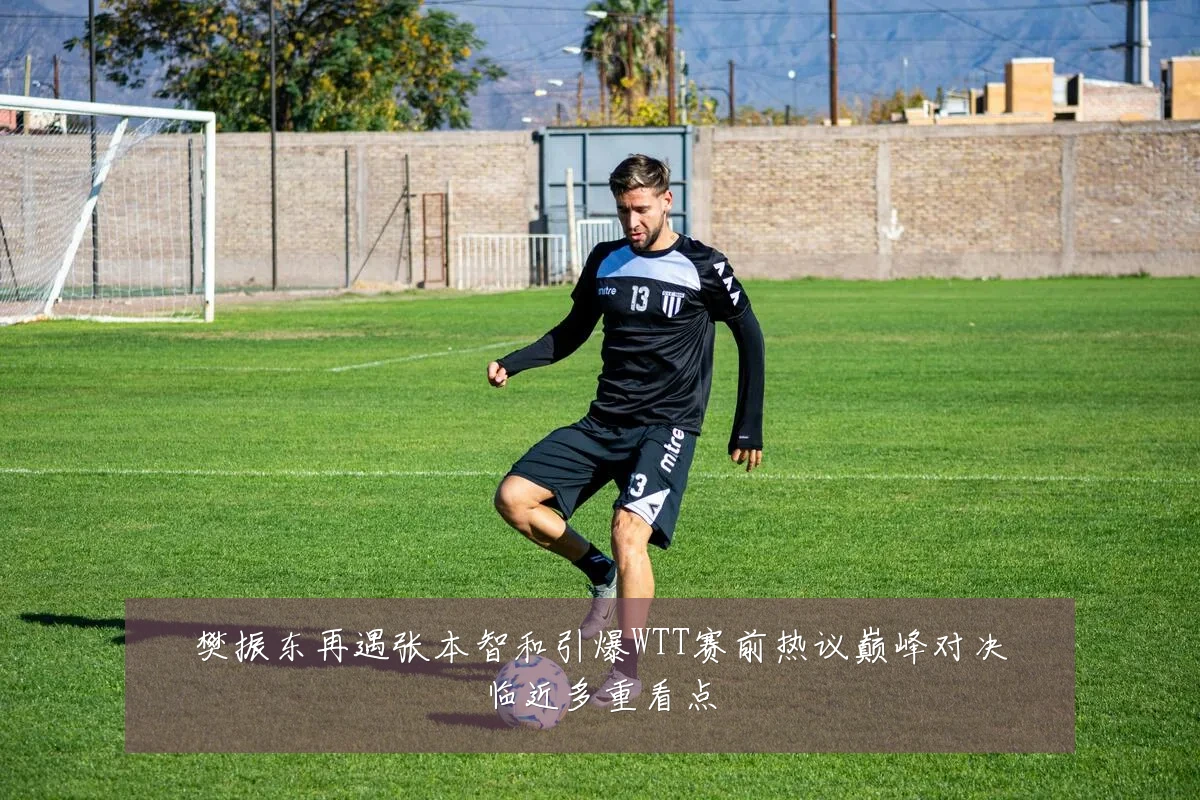 樊振东再遇张本智和引爆WTT赛前热议巅峰对决临近多重看点